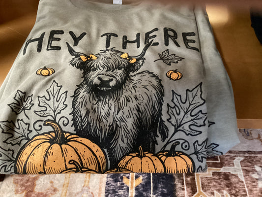 Hey there pumpkin t shirt